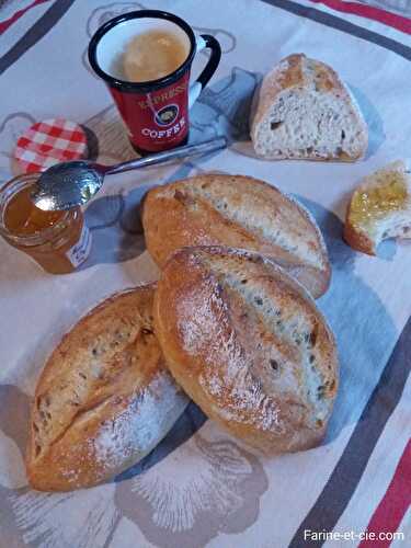 Petits pains aux graines SANS levain