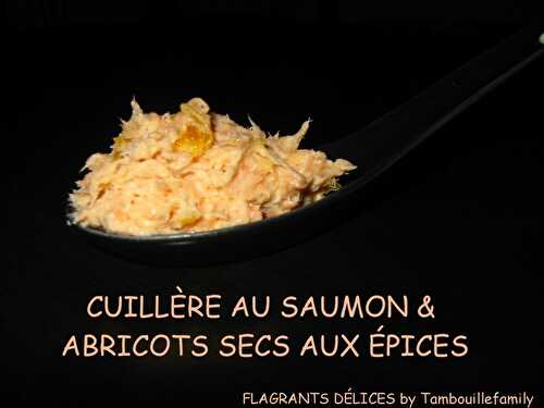 CUILLÈRE DE SAUMON & ABRICOTS SECS, PARFUMÉE AUX ÉPICES