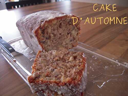 DÉLICIEUX CAKE D'AUTOMNE (amandes, noix, noisettes, pommes & cannelle)