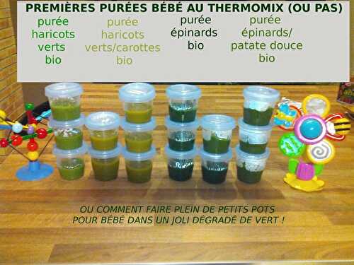 PURÉE BÉBÉ D'ÉPINARDS (à partir de 4/6 mois) AU THERMOMIX (OU PAS ...)