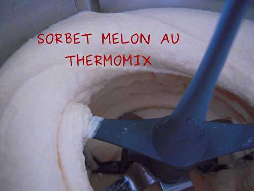 SORBET AU MELON (AU THERMOMIX)