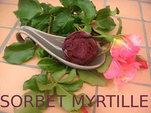 SORBET AUX MYRTILLES