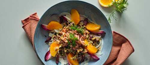 Salade de fenouil, orange et crevettes grises