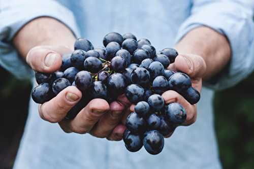 Pourquoi choisir du vin bio