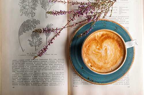 Machine à café à grain, à dosettes ou filtre : quelle cafetière choisir ?