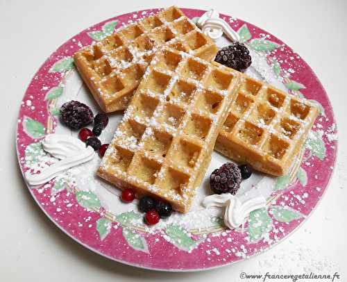 Gaufre de foire (végétalien, vegan) ?