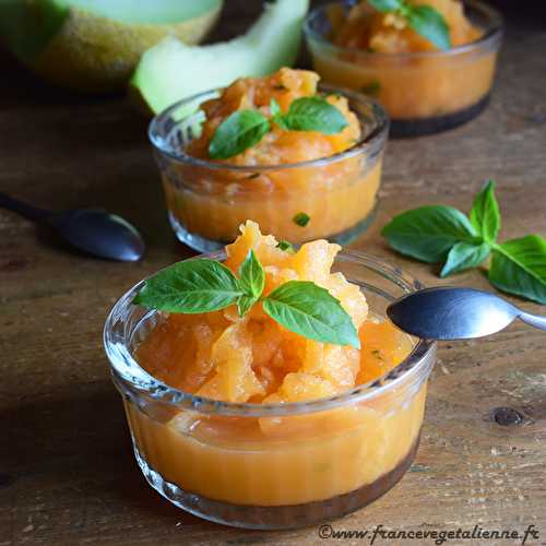 Granité au melon (végétalien, vegan) ?