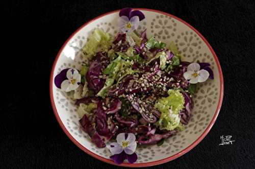 Salade de chou rouge à l'oseille | Apéro-entrée | salade végétalienne