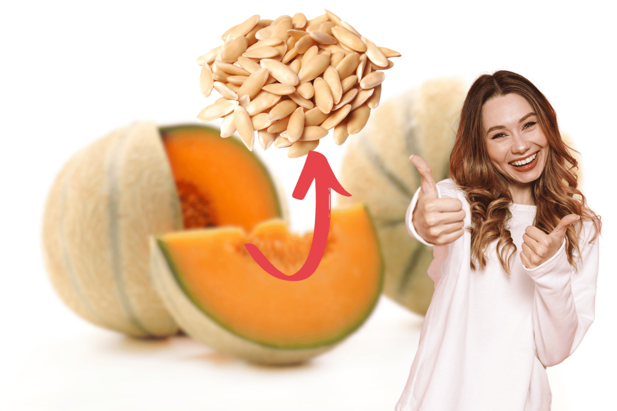 Ne jetez plus jamais les pépins de melon : voici leurs bienfaits étonnants