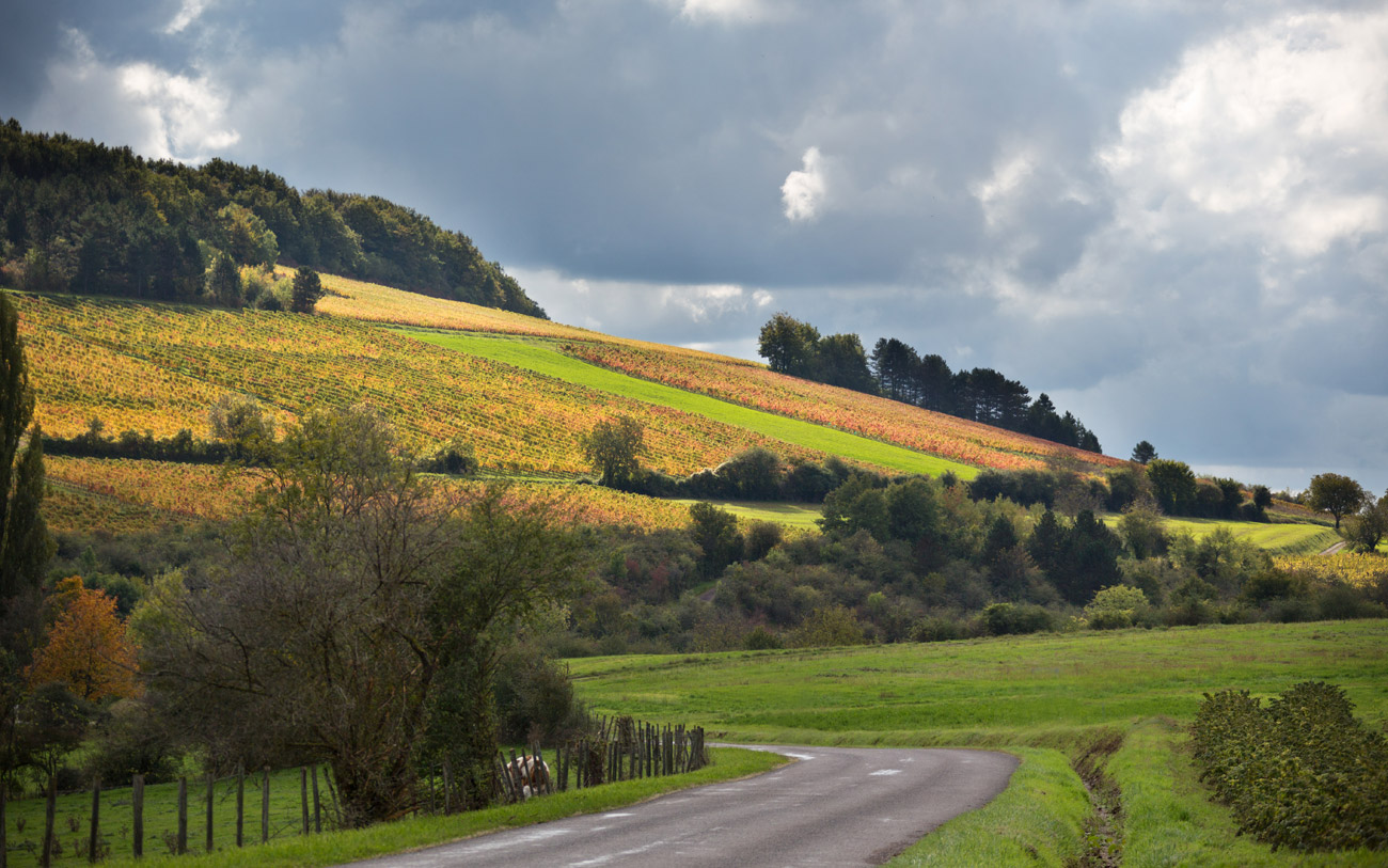 Cave Nuiton-Beaunoy à Beaune