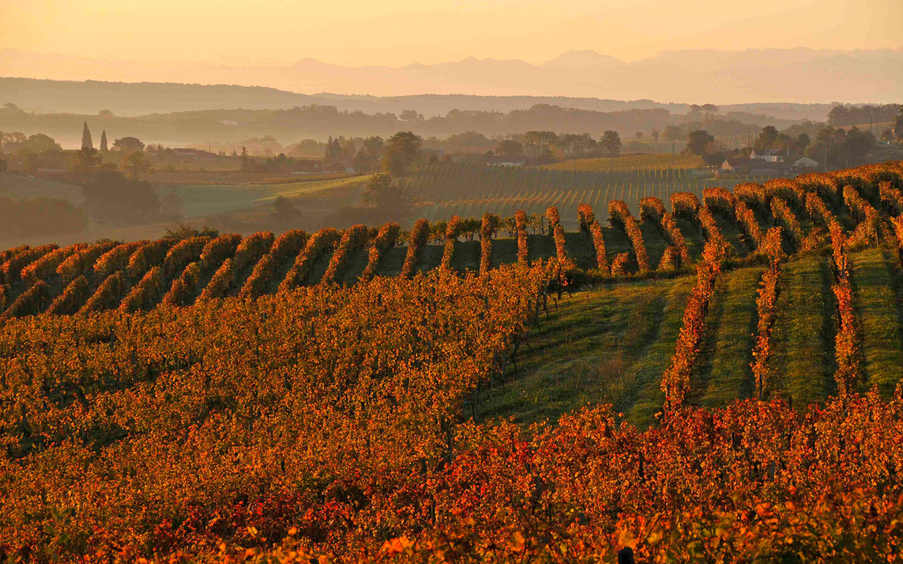 Marie Maria à Crouseilles, vins de Madiran