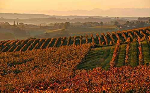 Marie Maria à Crouseilles, vins de Madiran