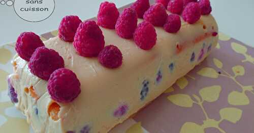 Gateau au chocolat blanc et aux framboises (sans cuisson)