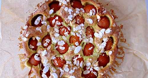 Gâteau au fromage blanc, à la pistache et aux abricots