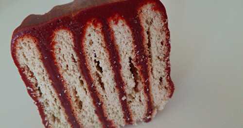 Tranches de biscuits au chocolat