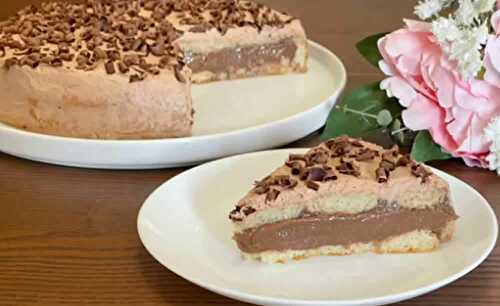 Le meilleur gâteau glacé au chocolat - pour votre dessert.