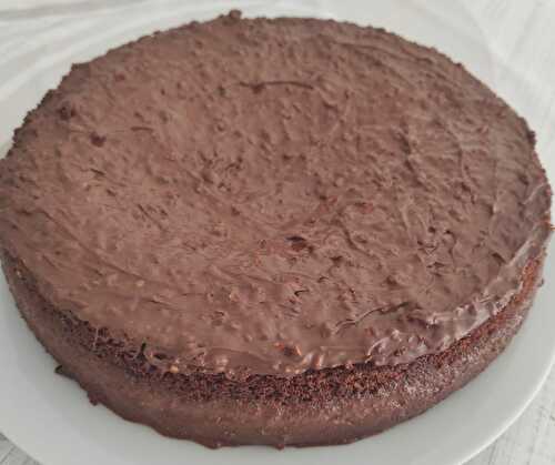 Recette de gâteau au chocolat moelleux