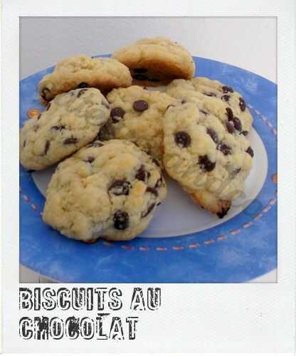Biscuits au chocolat ou comment utiliser ses jaunes d'oeufs