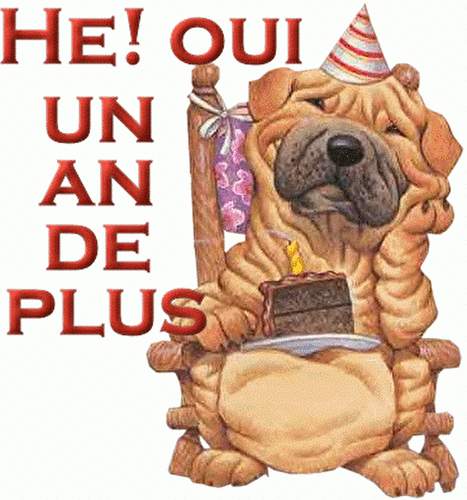 C'est mon anniversaire !