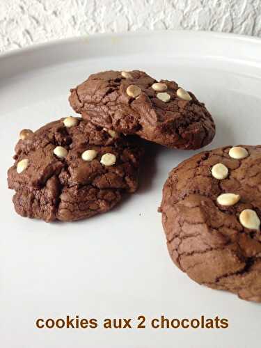 Cookies aux 2 chocolats