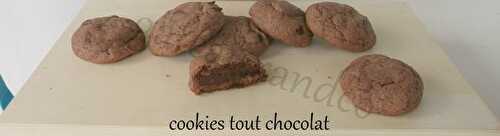 Cookies tout chocolat