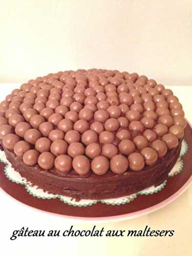 Gâteau au chocolat aux maltesers - Gateauxandco