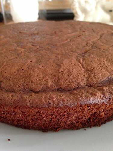 Gâteau au chocolat et à la courgette qui déchire ! (sans beurre et sans lactose )