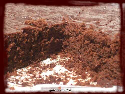 Gâteau au chocolat et lait concentré sucré