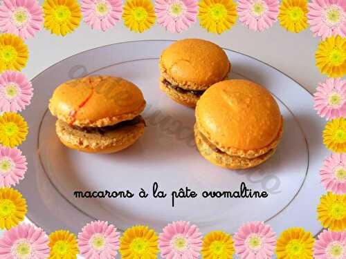 Macarons à la pâte ovomaltine - Gateauxandco