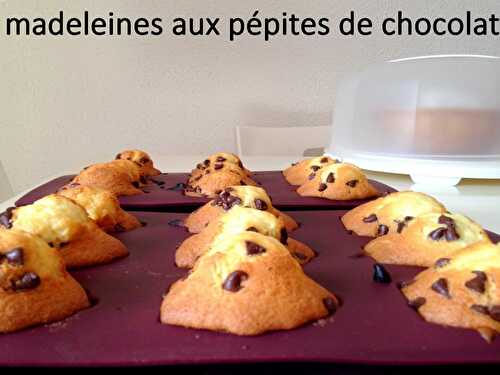 Madeleines aux pépites de chocolat