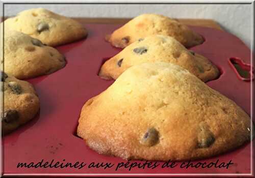 Madeleines aux pépites de chocolat