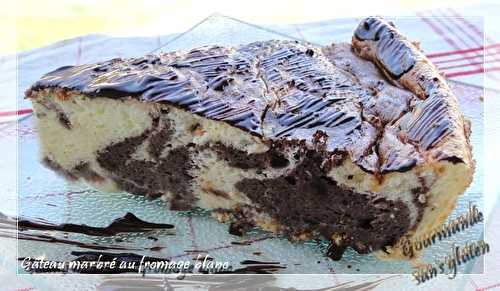 Gâteau marbré au fromage blanc, sans gluten