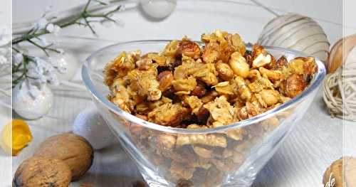 Granola salé aux noisettes, cacahuètes et noix de Grenoble