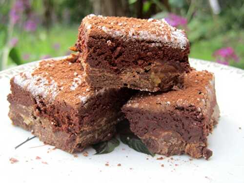 Carrés fondants au chocolat sans cuisson au praliné