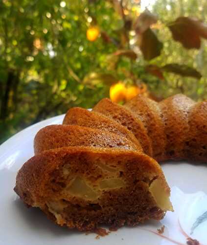 Fondant aux pommes, amandes et spéculoos