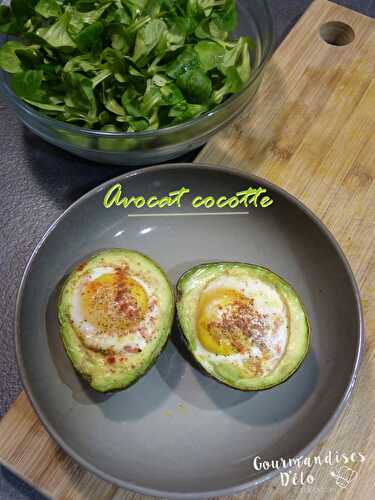 Avocat cocotte