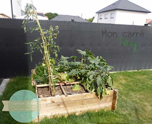 Mon carré potager - été 2017