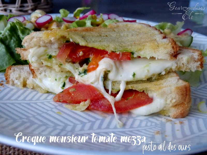 Croque monsieur tomates mozzarella et pesto ail des ours