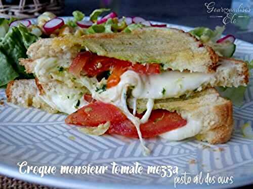 Croque monsieur tomates mozzarella et pesto ail des ours