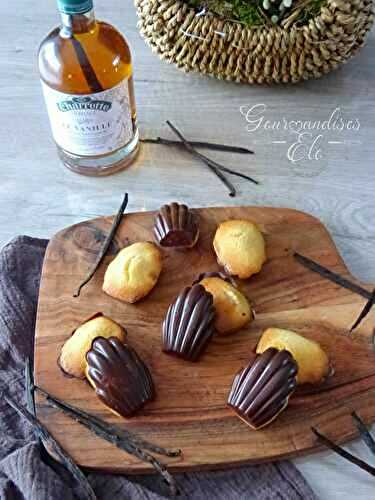 Madeleine vanille et coque en chocolat