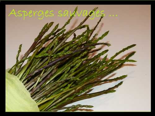 Asperges sauvages