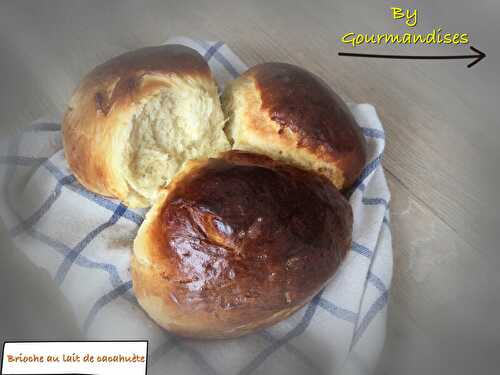 Brioche au lait de cacahuète ( SANS LACTOSE)