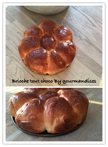 Brioche tout choco SANS LACTOSE