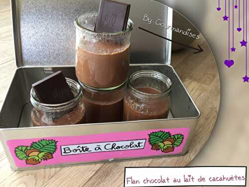 Flan chocolat, au lait de cacahuètes SANS LACTOSE ( 218 cal/ par pot) - Gourmandises sucrées ou salées