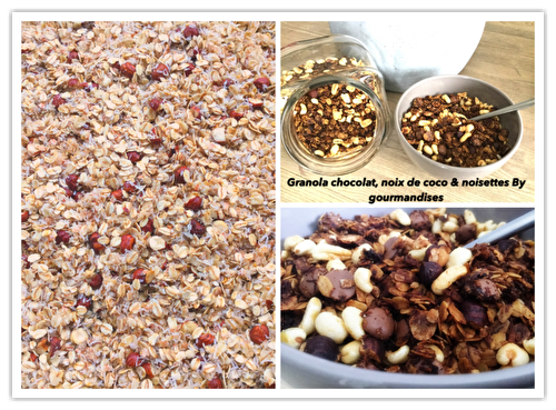 Granola chocolat, noix de coco & noisettes