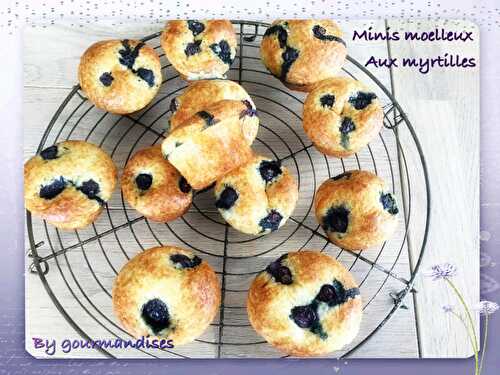 Minis moelleux aux Myrtilles ( 79 cal/ par moelleux)