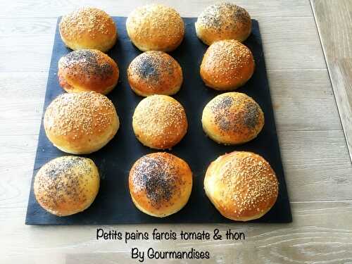 Petits pains farcis tomate & thon ( 231 cal/par petit pains)