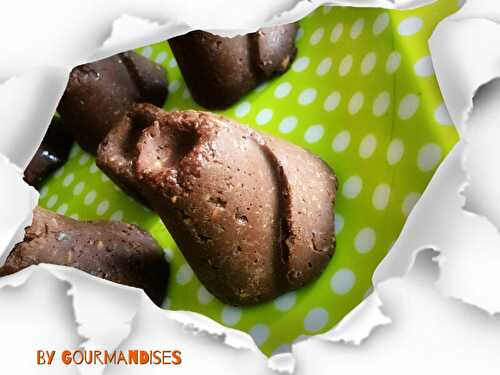 Volcan cru chocolat / noix de coco VEGAN ( 155 cal/ pièce)