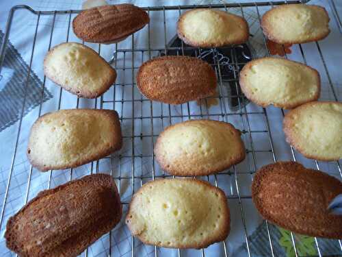 MADELEINES MAISON