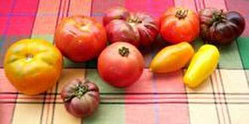 TOUT SAVOIR SUR :
LA TOMATE